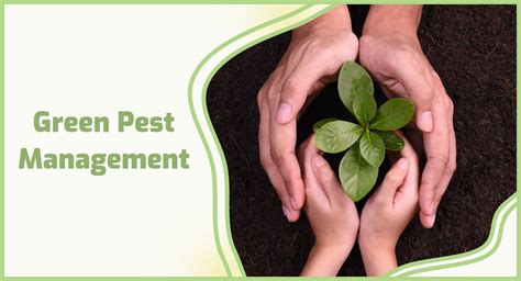 Green pest solutions - Our natural and organic pest solutions are the same environmentally-friendly products used by pest control professionals to give you the same control over many pests as more powerful chemical products. 1-24 of 122 results. Filter Sort. ... The idea of a green pest control program is not limited to using natural or organic …